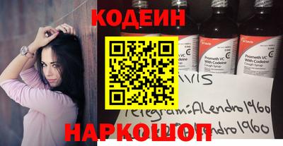 дмт Гай