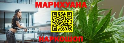 дмт Гай