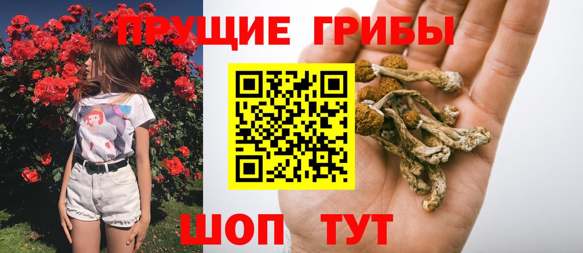 Галлюциногенные грибы ЛСД  Вход с VPN  Скопин  Галлюциногенные грибы Cubensis 