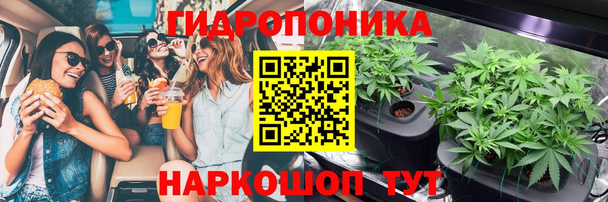 Марихуана конопля  Вход с VPN  Бошки Шишки Amnesia  Скопин 